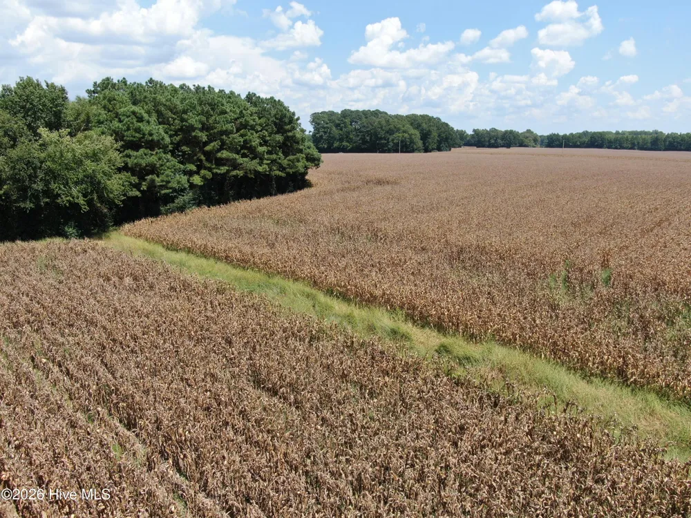 Tbd Pleasant Hope Road Fairmont, NC 28340