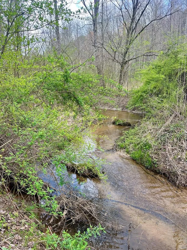 Lot 1 S Blue Horizon Drive Blue Ridge, GA 30513