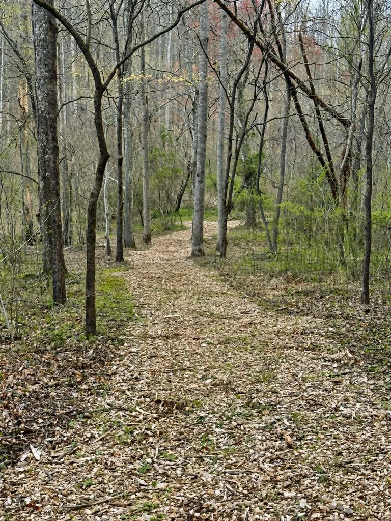 Lot 1 S Blue Horizon Drive Blue Ridge, GA 30513