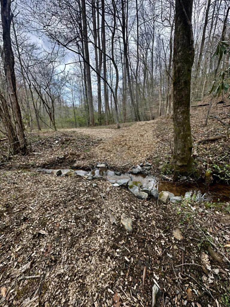 Lot 1 S Blue Horizon Drive Blue Ridge, GA 30513