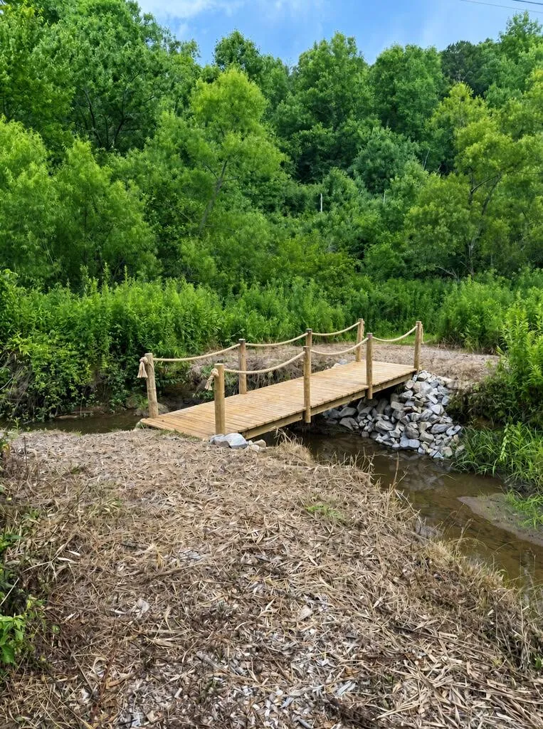 Lot 1 S Blue Horizon Drive Blue Ridge, GA 30513