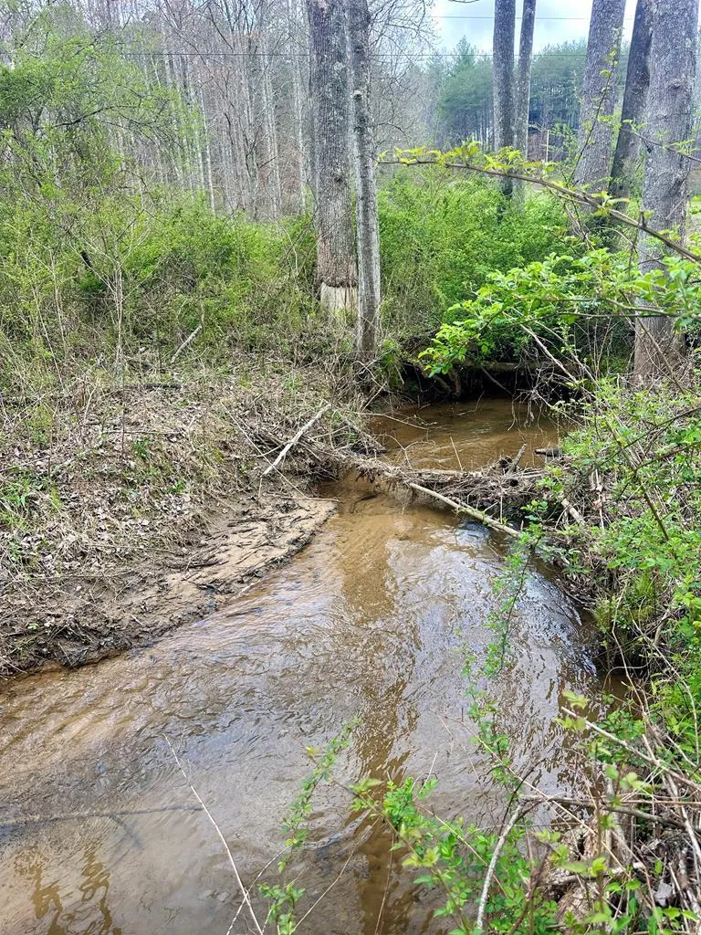 Lot 1 S Blue Horizon Drive Blue Ridge, GA 30513
