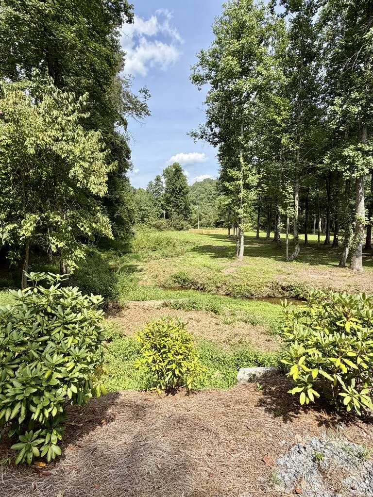 Lot 1 S Blue Horizon Drive Blue Ridge, GA 30513