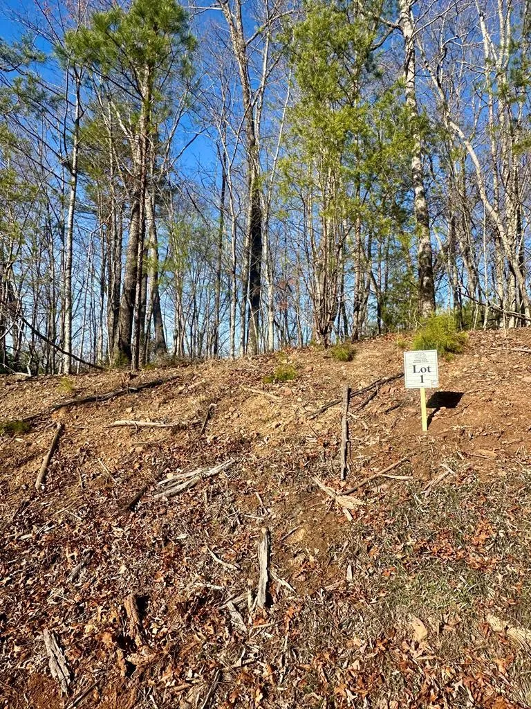 Lot 1 S Blue Horizon Drive Blue Ridge, GA 30513