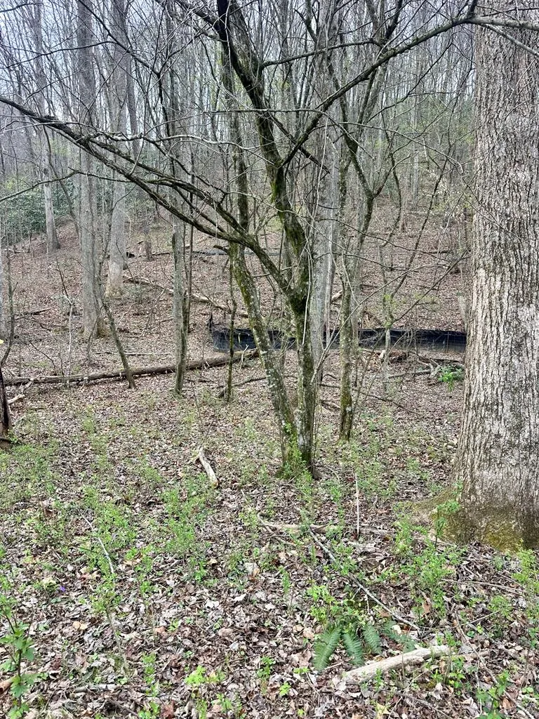 Lot 1 S Blue Horizon Drive Blue Ridge, GA 30513