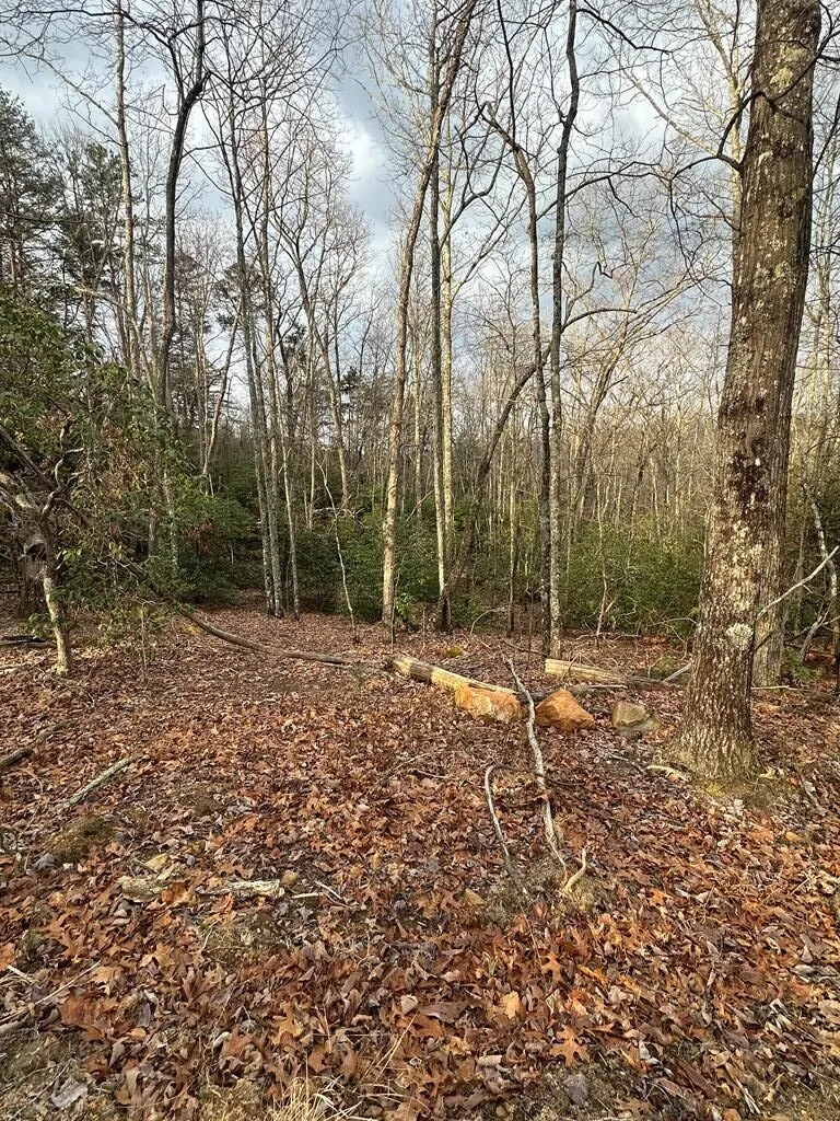 Lot 1 S Blue Horizon Drive Blue Ridge, GA 30513
