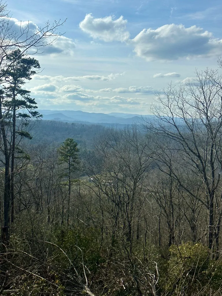 Lot 4 Blue Horizon Drive Blue Ridge, GA 30513