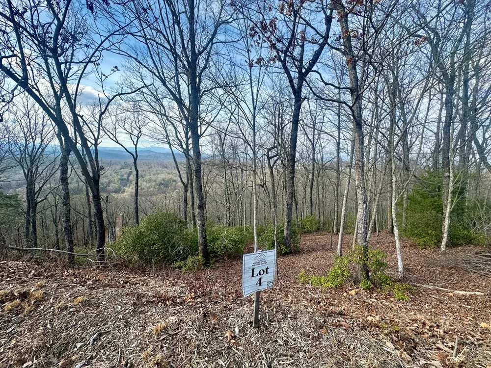 Lot 4 Blue Horizon Drive Blue Ridge, GA 30513