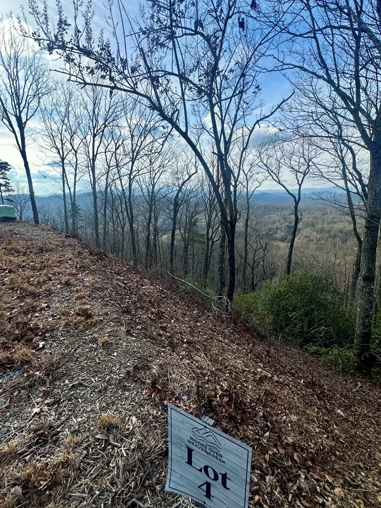 Lot 4 Blue Horizon Drive Blue Ridge, GA 30513