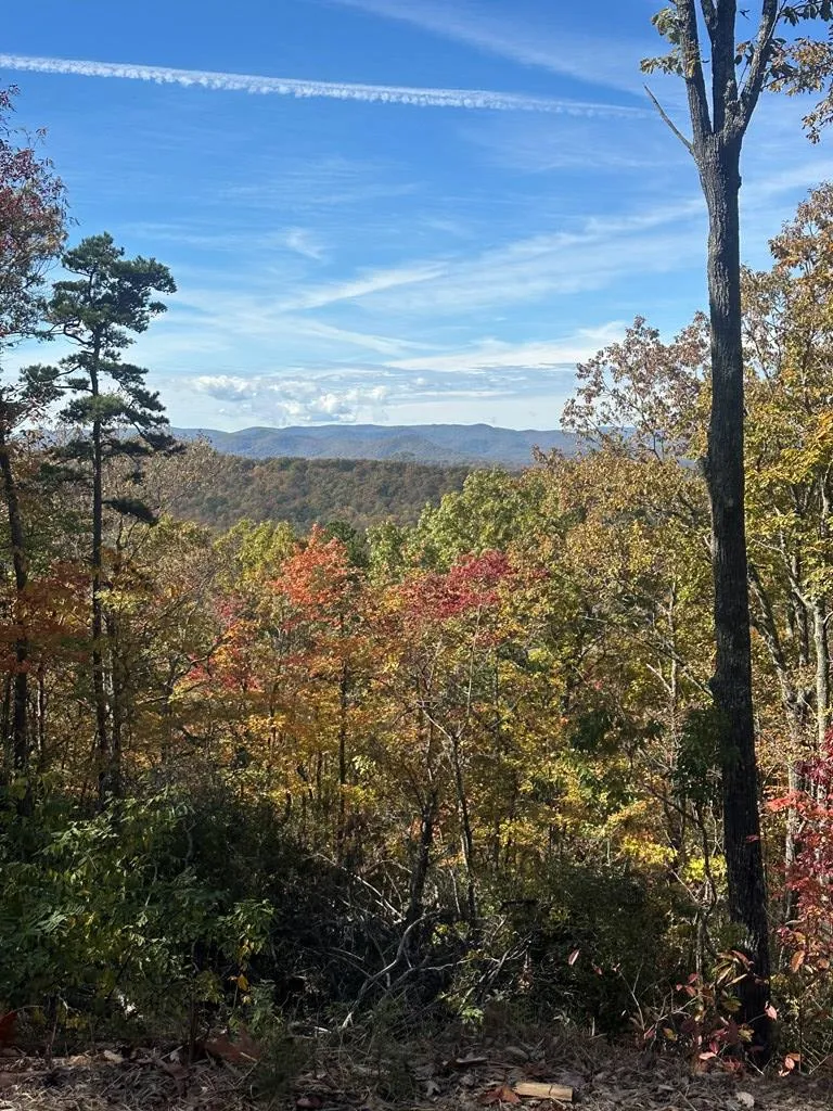 Lot 4 Blue Horizon Drive Blue Ridge, GA 30513