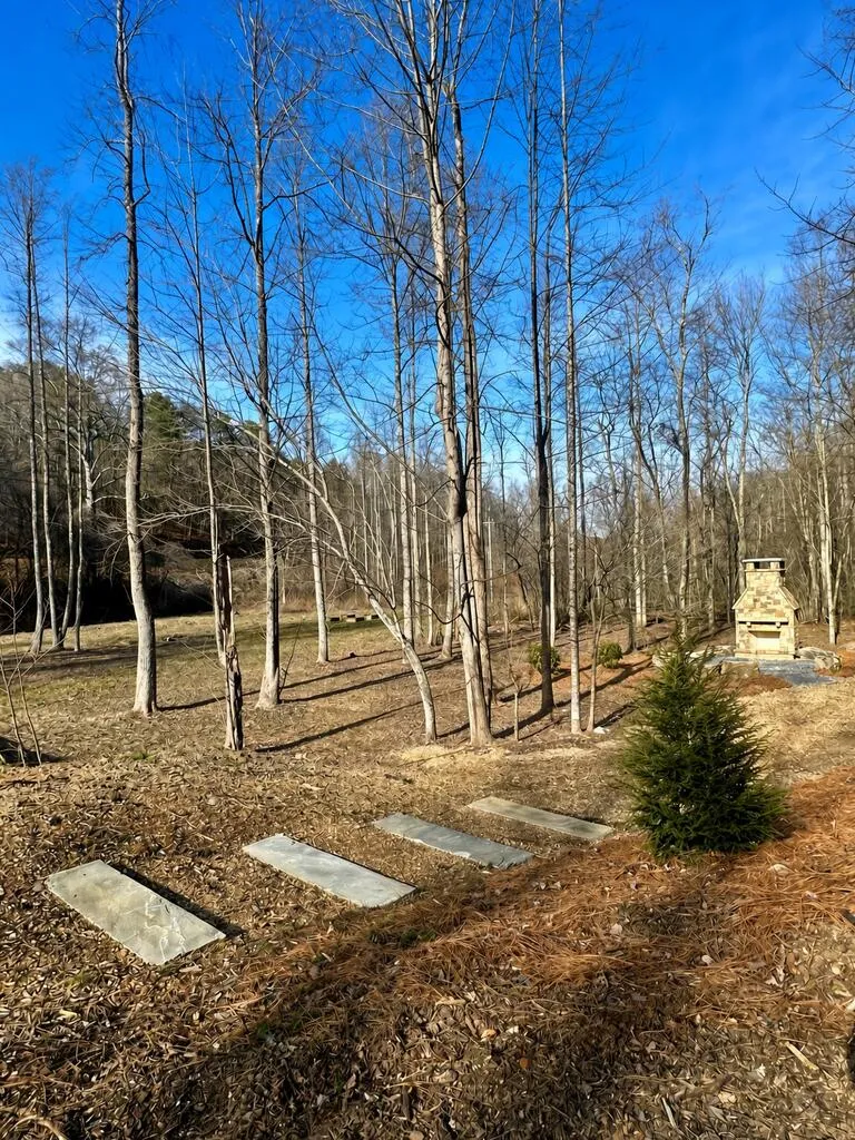 Lot 4 Blue Horizon Drive Blue Ridge, GA 30513