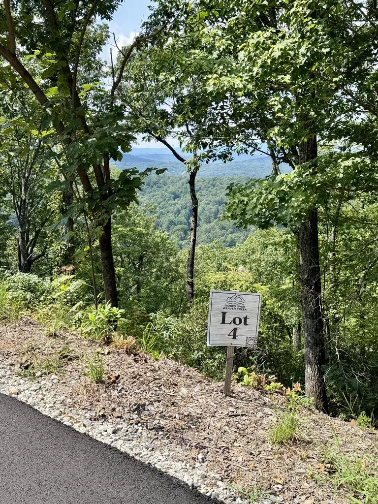 Lot 4 Blue Horizon Drive Blue Ridge, GA 30513