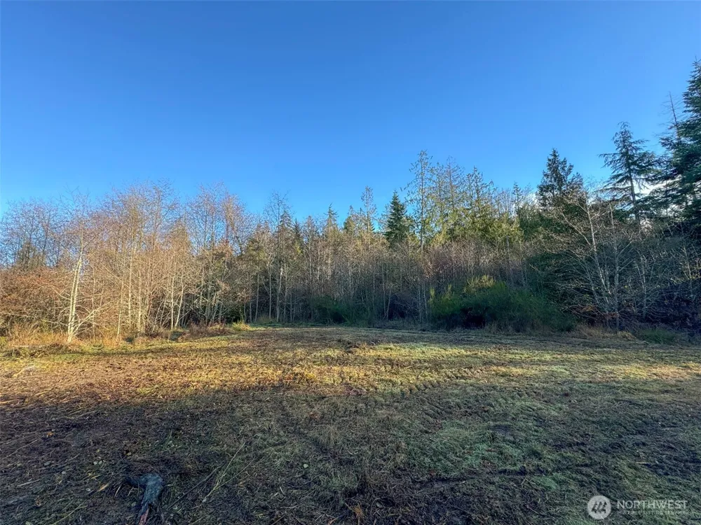 0 NKA Bagley Creek Road Port Angeles, WA 98362