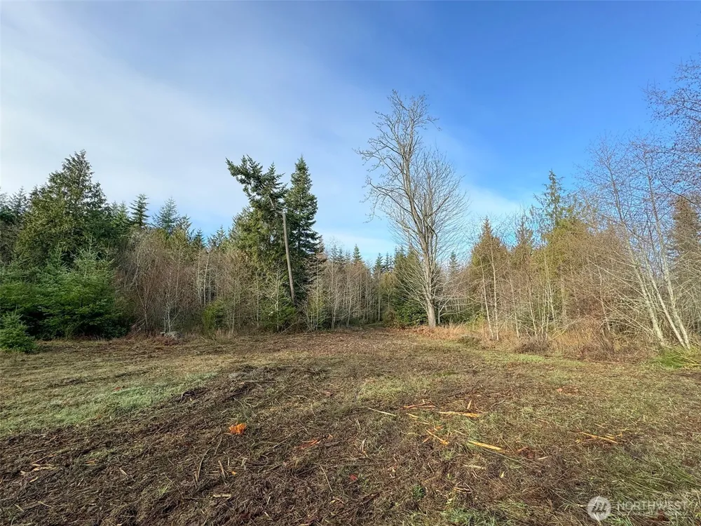 0 NKA Bagley Creek Road Port Angeles, WA 98362