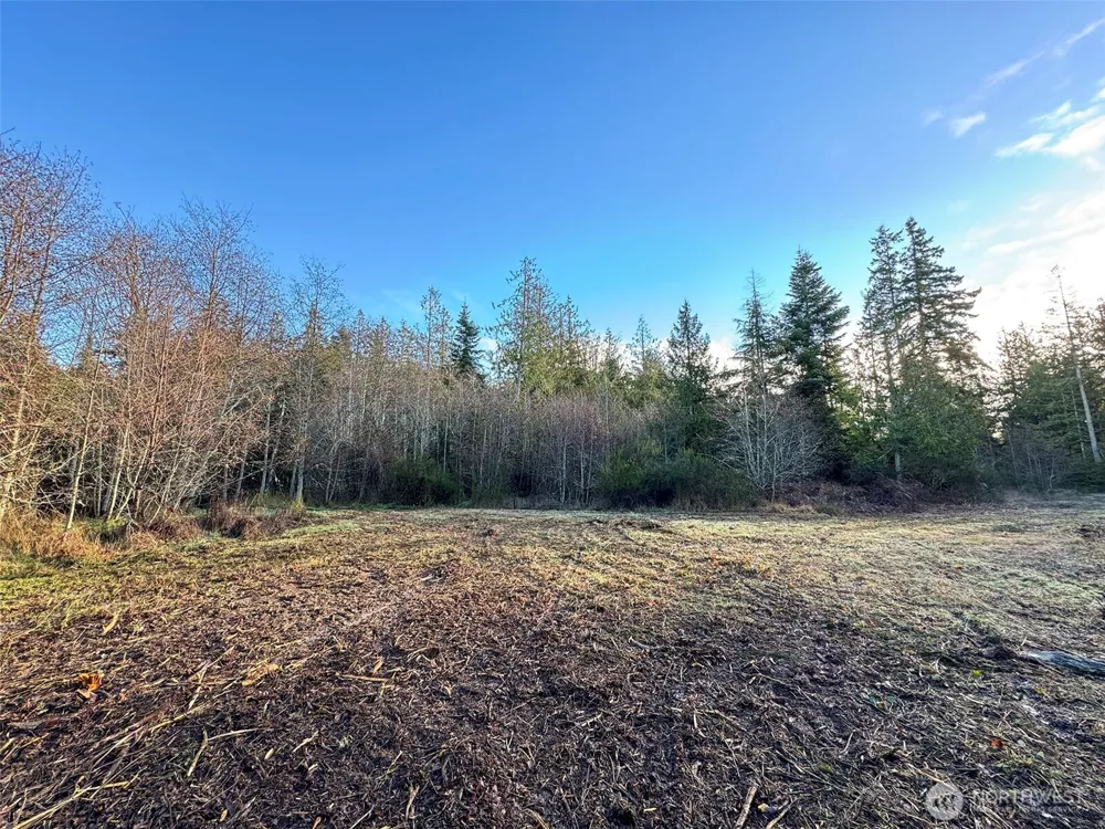 0 NKA Bagley Creek Road Port Angeles, WA 98362