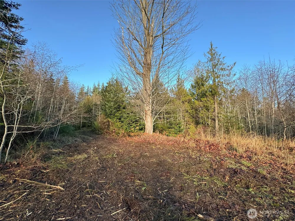 0 NKA Bagley Creek Road Port Angeles, WA 98362