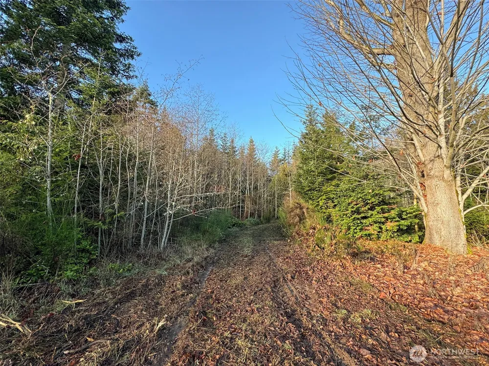 0 NKA Bagley Creek Road Port Angeles, WA 98362