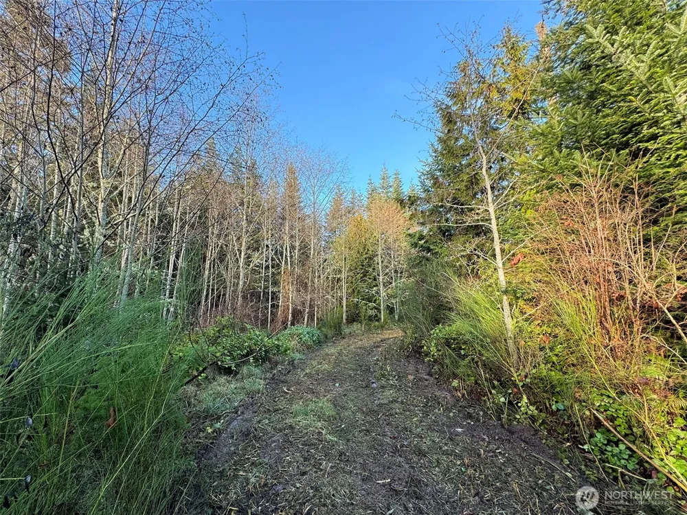 0 NKA Bagley Creek Road Port Angeles, WA 98362