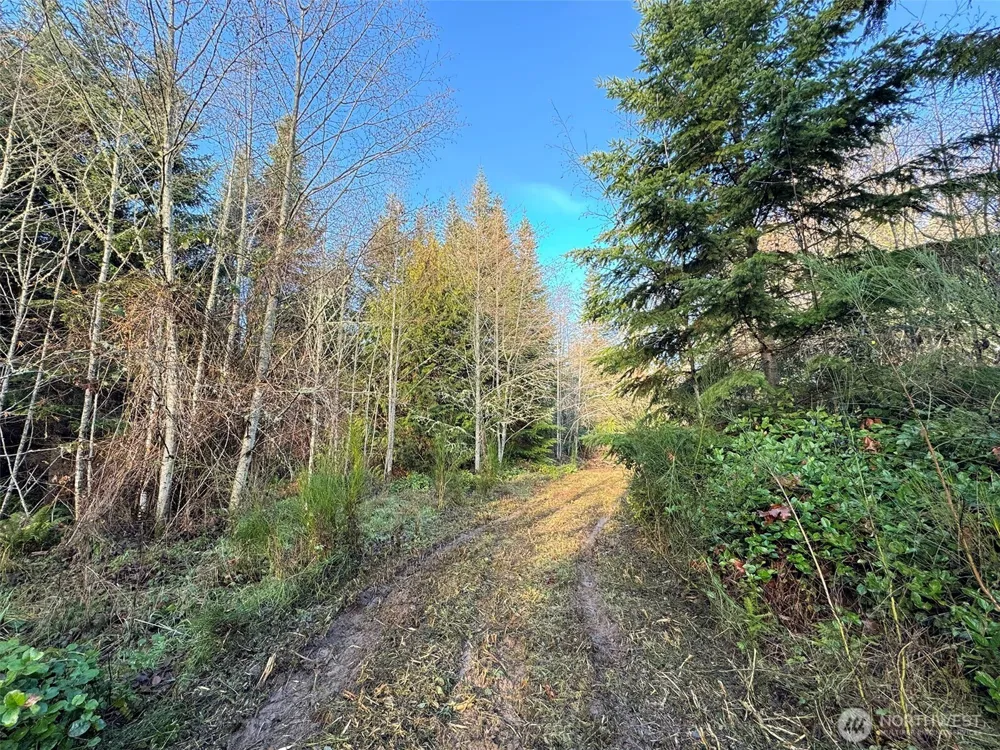 0 NKA Bagley Creek Road Port Angeles, WA 98362