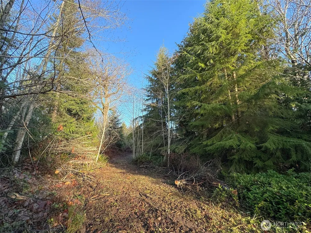 0 NKA Bagley Creek Road Port Angeles, WA 98362