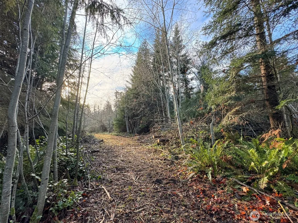 0 NKA Bagley Creek Road Port Angeles, WA 98362