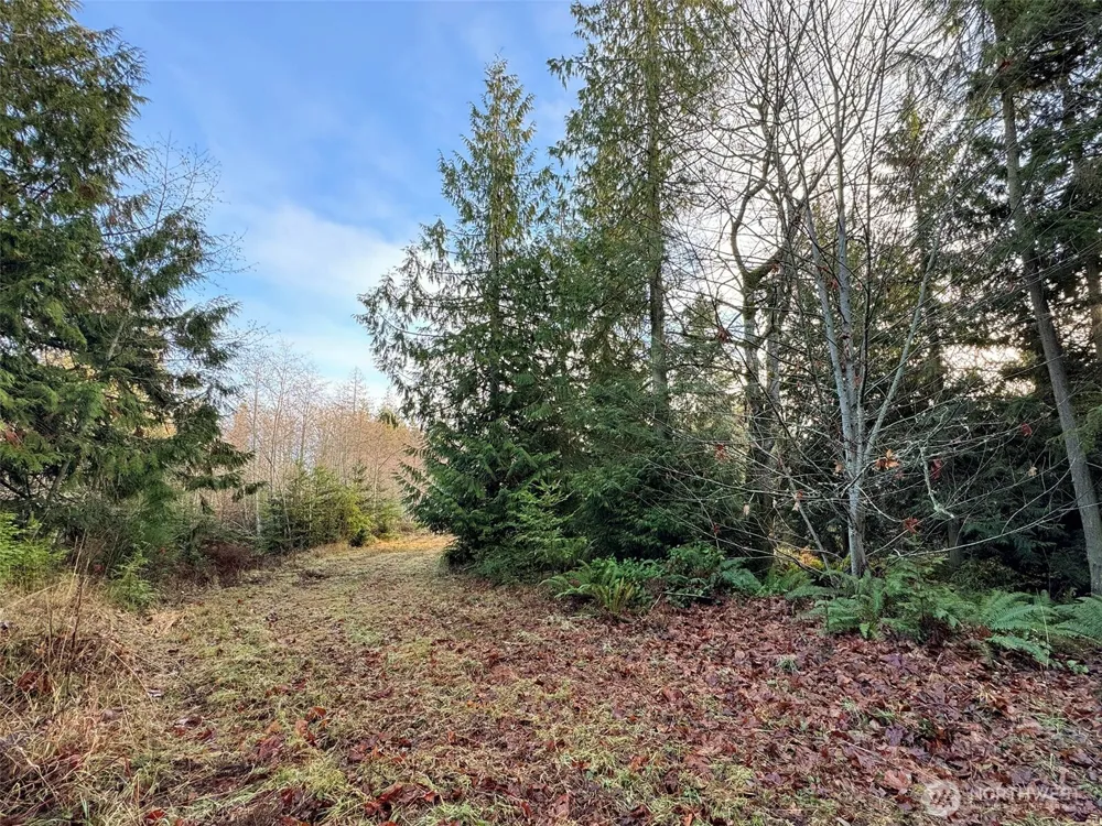 0 NKA Bagley Creek Road Port Angeles, WA 98362