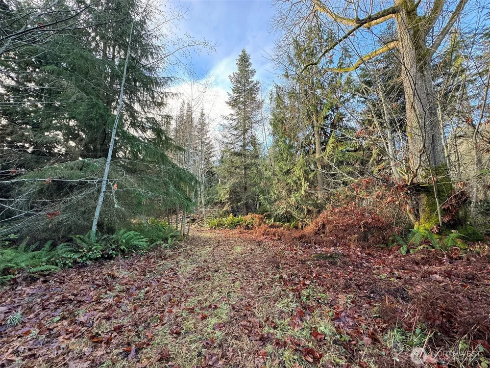 0 NKA Bagley Creek Road Port Angeles, WA 98362