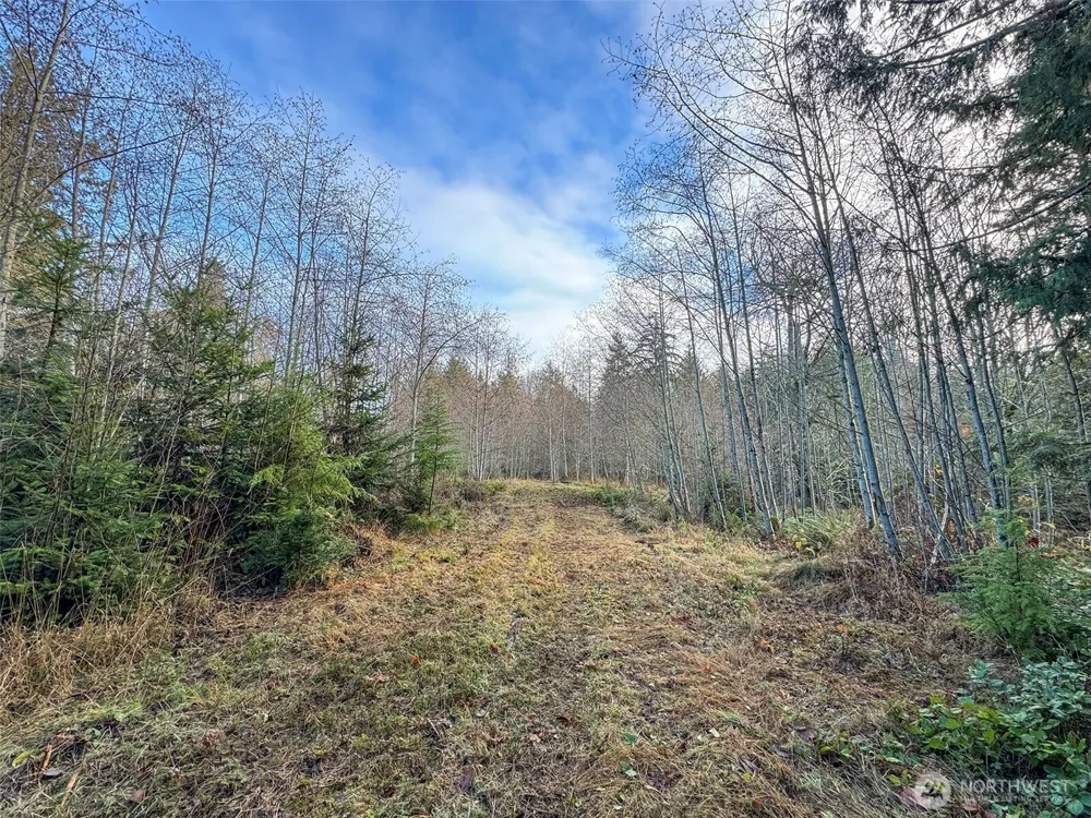 0 NKA Bagley Creek Road Port Angeles, WA 98362