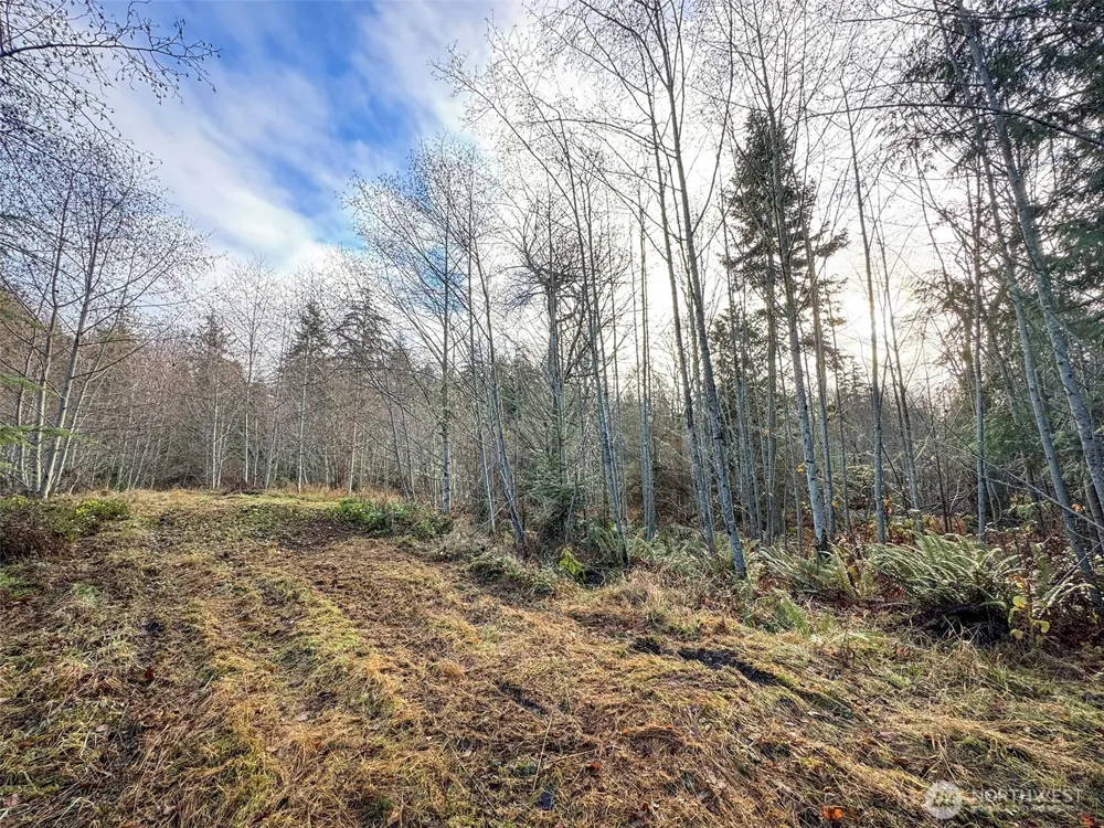 0 NKA Bagley Creek Road Port Angeles, WA 98362