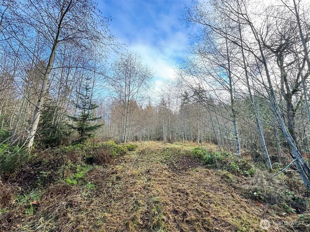 0 NKA Bagley Creek Road Port Angeles, WA 98362