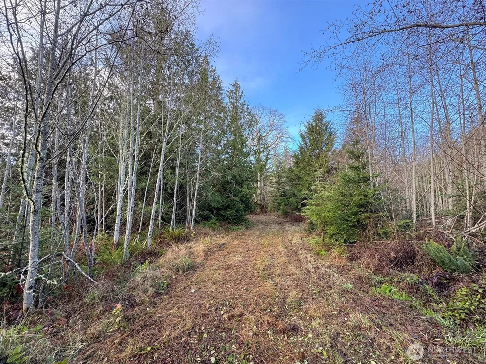 0 NKA Bagley Creek Road Port Angeles, WA 98362