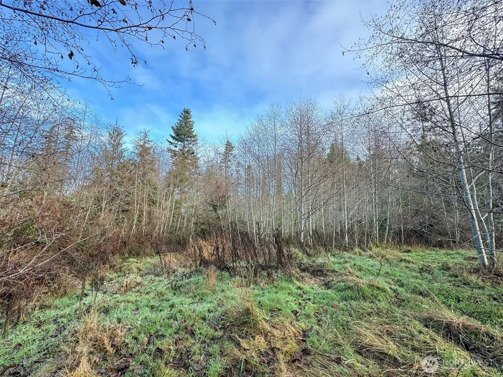 0 NKA Bagley Creek Road Port Angeles, WA 98362