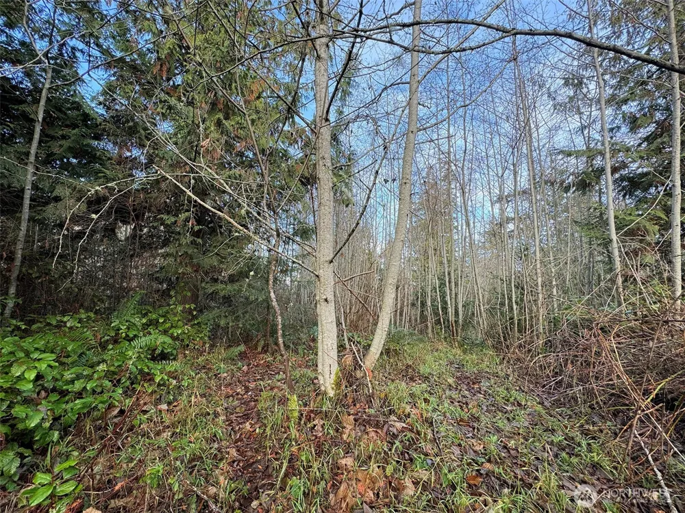 0 NKA Bagley Creek Road Port Angeles, WA 98362