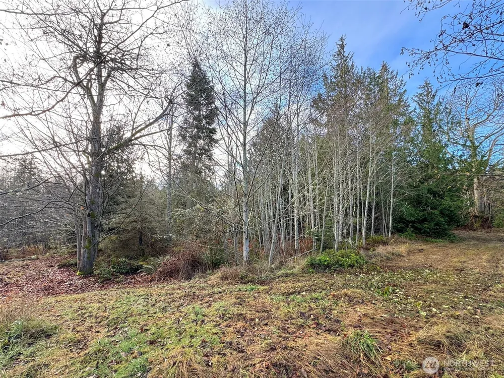 0 NKA Bagley Creek Road Port Angeles, WA 98362