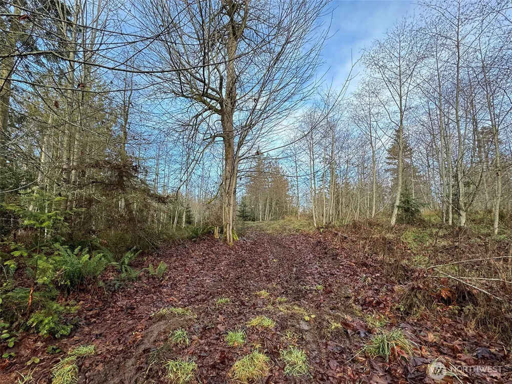0 NKA Bagley Creek Road Port Angeles, WA 98362