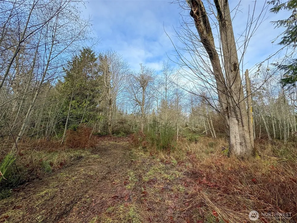 0 NKA Bagley Creek Road Port Angeles, WA 98362