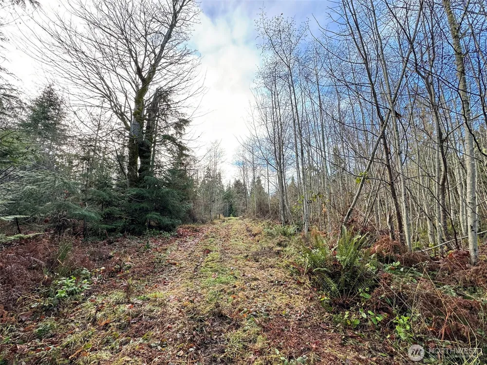 0 NKA Bagley Creek Road Port Angeles, WA 98362