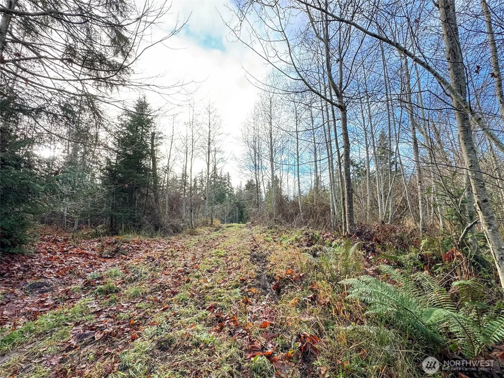 0 NKA Bagley Creek Road Port Angeles, WA 98362