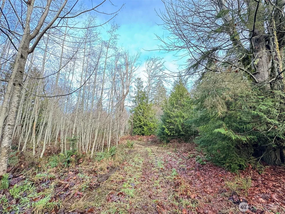 0 NKA Bagley Creek Road Port Angeles, WA 98362