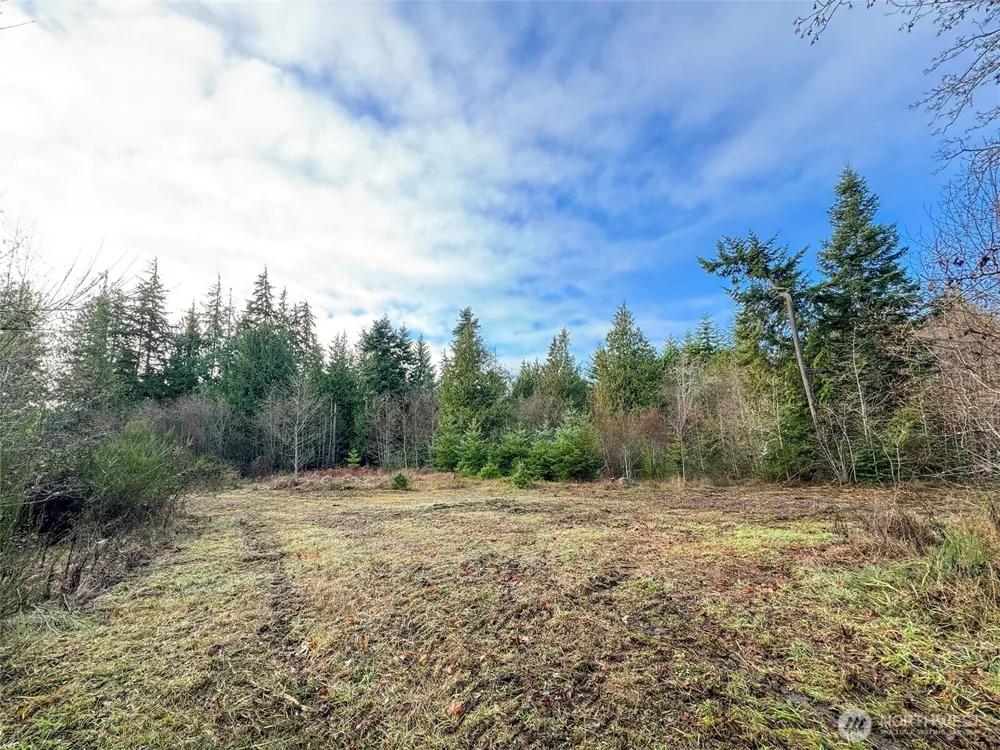0 NKA Bagley Creek Road Port Angeles, WA 98362