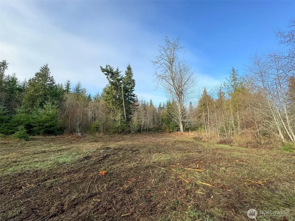 0 NKA Bagley Creek Road Port Angeles, WA 98362