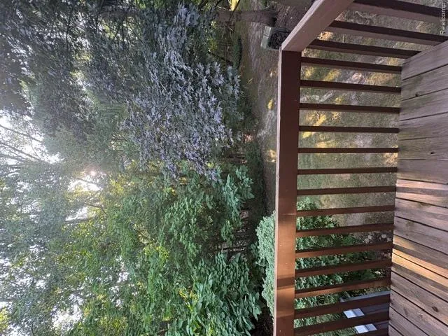 230 LYN ANNE Ann Arbor City, MI 48103
