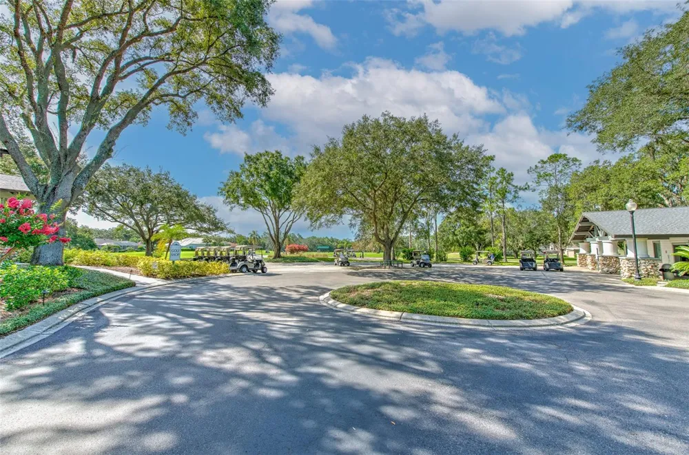 5207 MERION RD Valrico, FL 33596