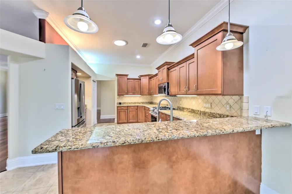 5207 MERION RD Valrico, FL 33596