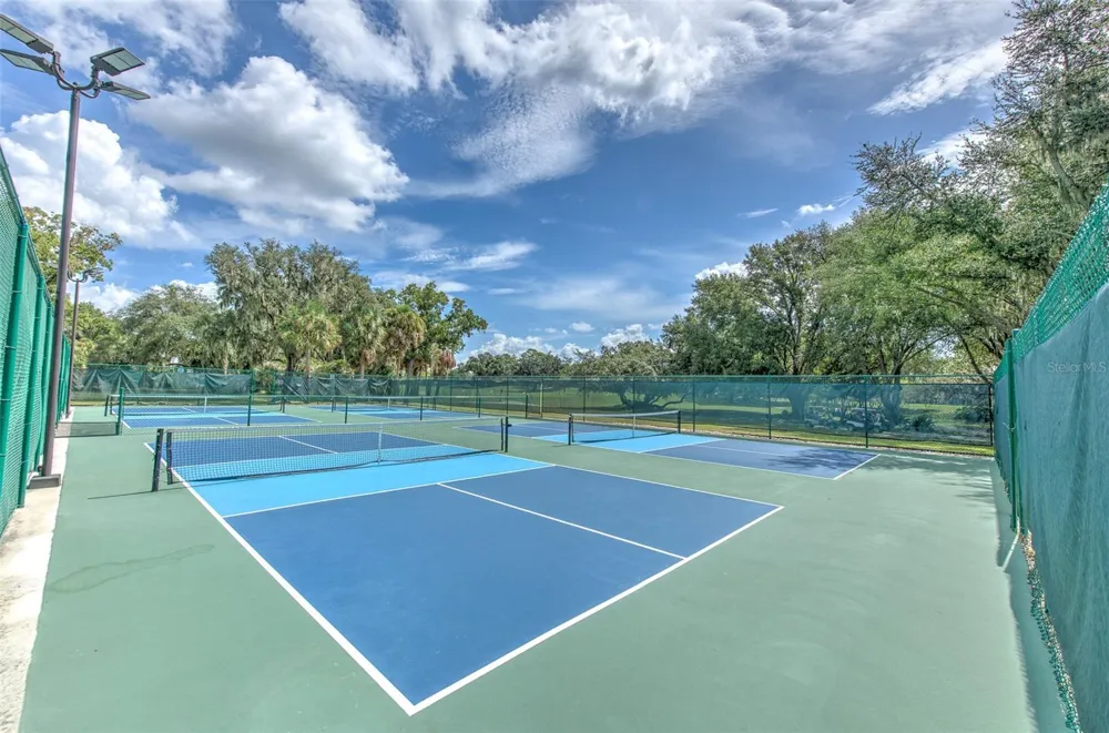 5207 MERION RD Valrico, FL 33596