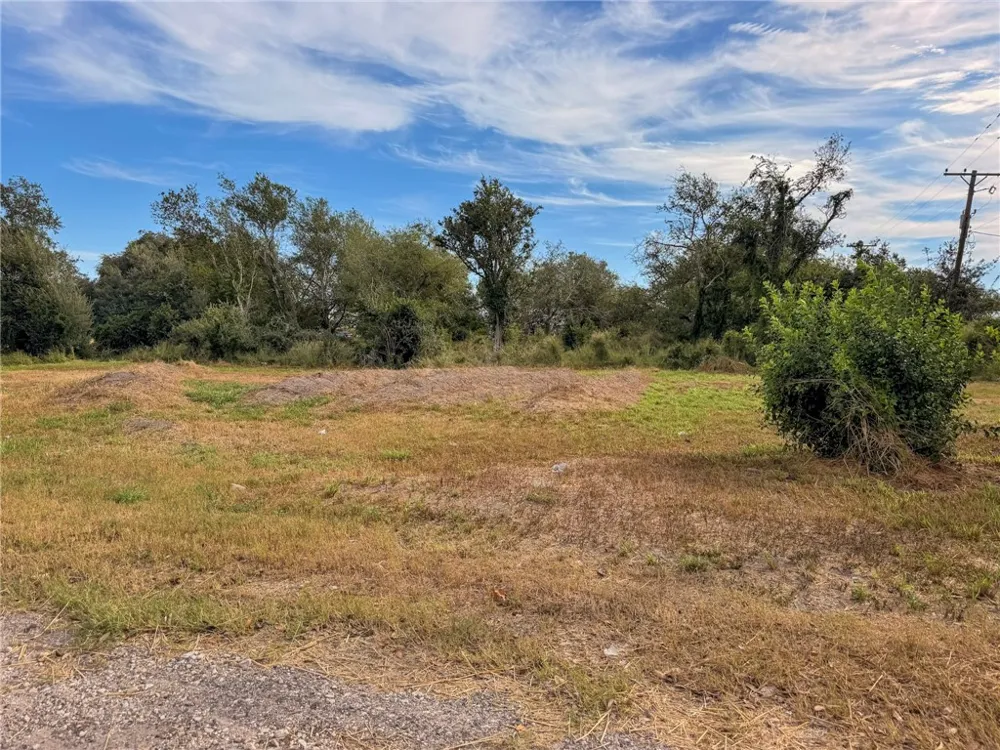 806 Pecos Street George West, TX 78022