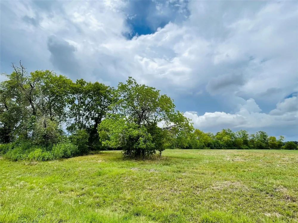 334 Lakeview Drive Angleton, TX 77515