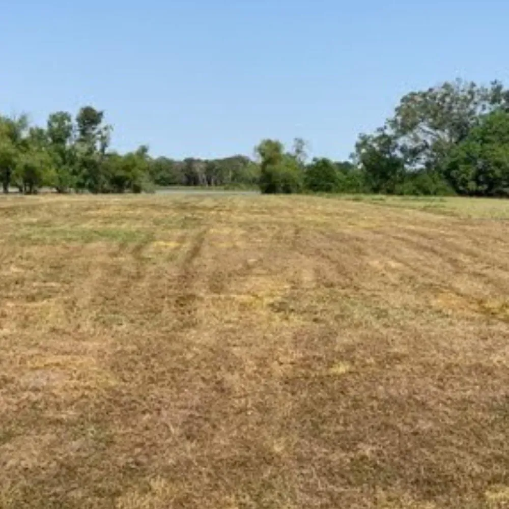 334 Lakeview Drive Angleton, TX 77515