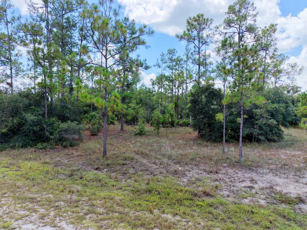 1600 E 15th Street Lehigh Acres, FL 33972