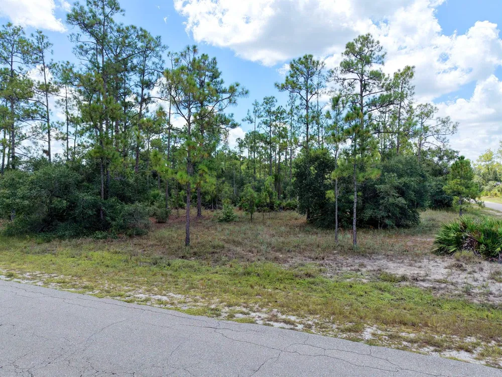 1600 E 15th Street Lehigh Acres, FL 33972